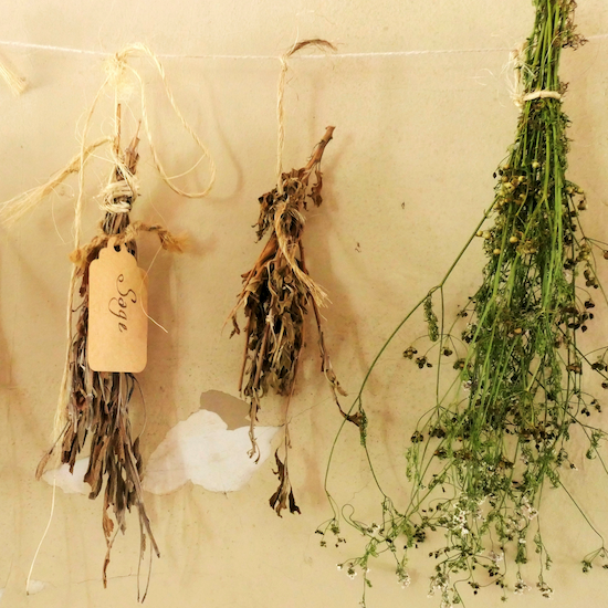 Le Guide Ultime pour Explorer l'Univers du Gin Québécois