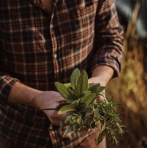 cueillette responsable