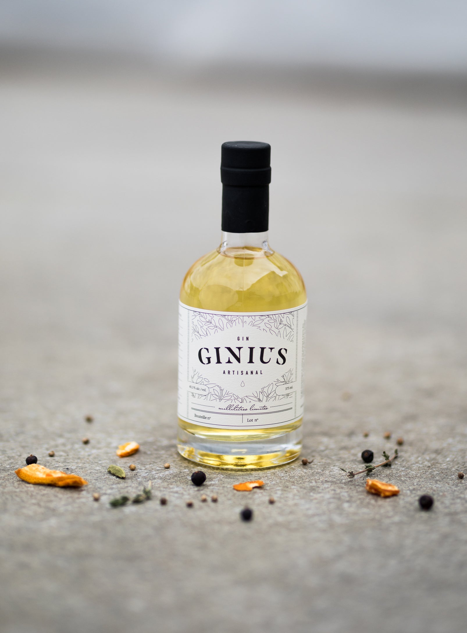 4 Bouteilles, Kit Filtration & Étiquettes Ginius