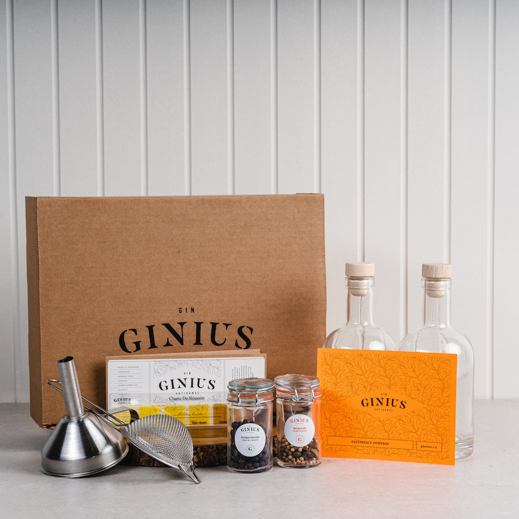 Ensemble de gin maison citrouille
